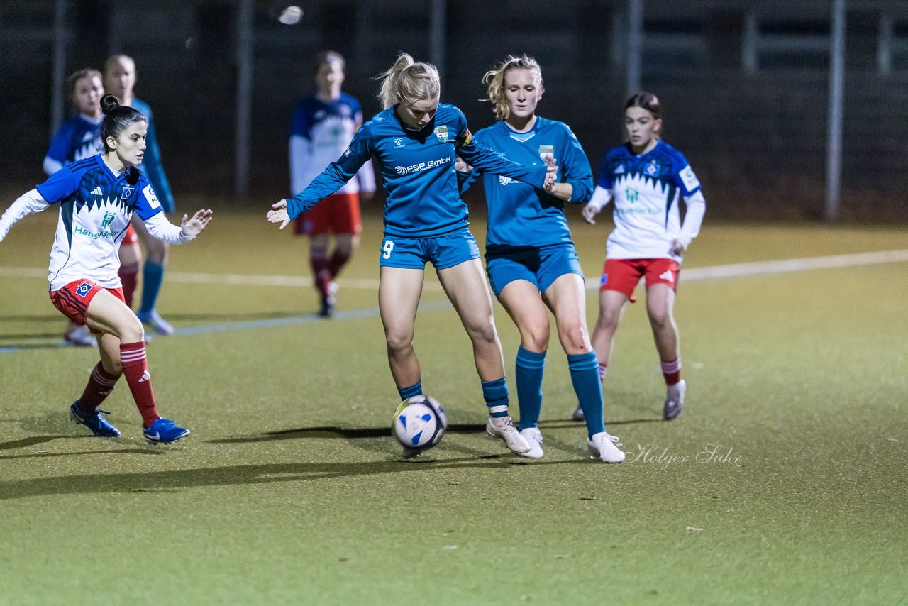 Bild 464 - F SC Alstertal-Langenhorn - Hamburger SV 3 : Ergebnis: 2:2